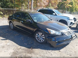 HONDA HONDA ACCORD 3.5 EX-L