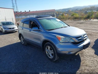 HONDA HONDA CR-V EX-L