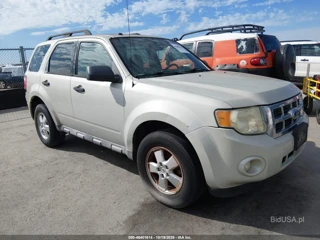 FORD FORD ESCAPE XLT