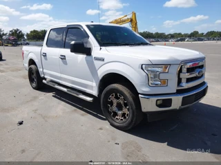 FORD FORD F-150 XLT