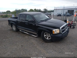 DODGE DODGE DAKOTA SLT