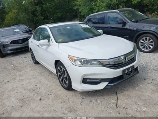 HONDA HONDA ACCORD EX-L