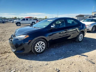 TOYOTA COROLLA LE