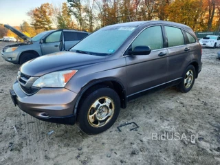 HONDA CR-V LX