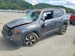 JEEP RENEGADE TRAILHAWK