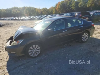 HONDA ACCORD EXL