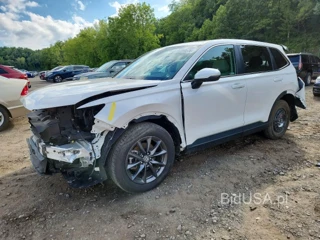 HONDA CR-V EXL