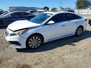 HYUNDAI SONATA SPORT
