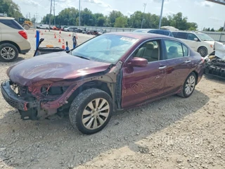 HONDA ACCORD EXL