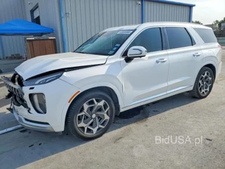 HYUNDAI PALISADE CALLIGRAPHY