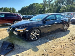 NISSAN MAXIMA SV