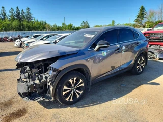 LEXUS NX 300 BASE