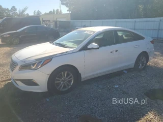 HYUNDAI SONATA ECO