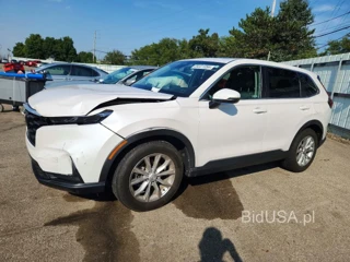 HONDA CR-V EX