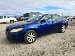 TOYOTA CAMRY XLE V6