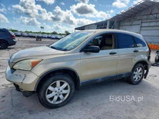 HONDA CR-V EX