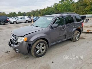 FORD ESCAPE XLT
