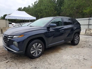 HYUNDAI TUCSON BLUE