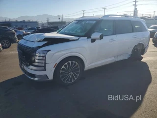 HYUNDAI PALISADE CALLIGRAPHY