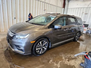 HONDA ODYSSEY ELITE