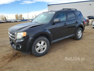 FORD ESCAPE XLT