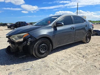 TOYOTA COROLLA LE