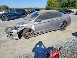 HONDA ACCORD SPORT SPECIAL EDITION