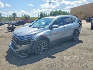 HONDA CR-V EX