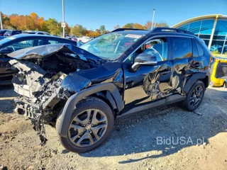 TOYOTA RAV4 ADVENTURE