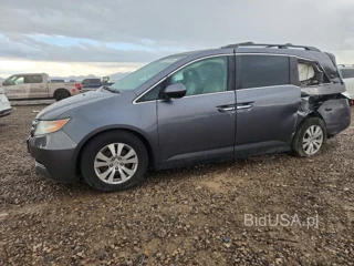 HONDA ODYSSEY EX