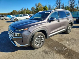 HYUNDAI SANTA FE BLUE