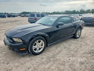 FORD MUSTANG BASE