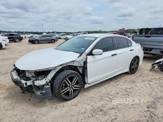HONDA ACCORD SPORT SPECIAL EDITION