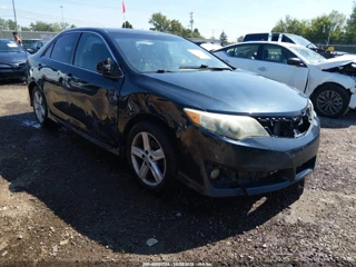TOYOTA TOYOTA CAMRY SE