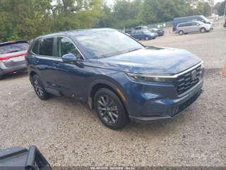 HONDA HONDA CR-V EX-L AWD