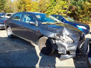 TOYOTA TOYOTA COROLLA LE