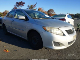 TOYOTA TOYOTA COROLLA LE