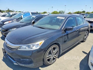 HONDA ACCORD SPORT SPECIAL EDITION