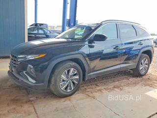 HYUNDAI TUCSON BLUE