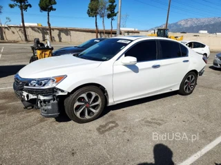 HONDA ACCORD EXL