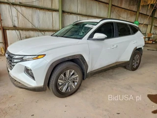 HYUNDAI TUCSON BLUE