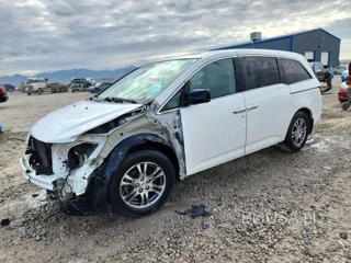 HONDA ODYSSEY EXL
