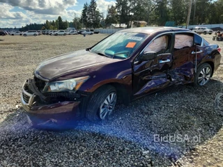 HONDA ACCORD EXL