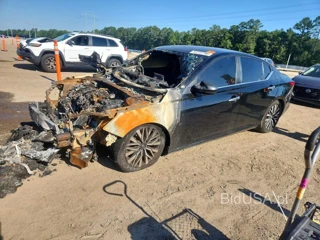 NISSAN ALTIMA SV