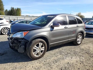 HONDA CR-V EXL