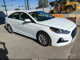 HYUNDAI HYUNDAI SONATA ECO