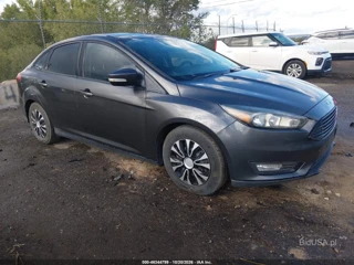FORD FORD FOCUS SE