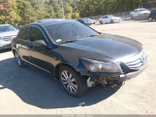 HONDA HONDA ACCORD 2.4 EX-L
