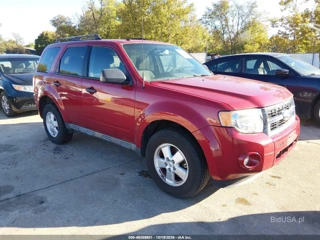 FORD FORD ESCAPE XLT