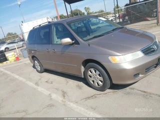 HONDA HONDA ODYSSEY EX-L